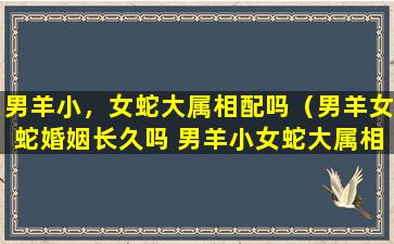 男羊小，女蛇大属相配吗（男羊女蛇婚姻长久吗 男羊小女蛇大属相配吗）